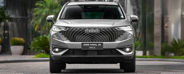 Imagem do haval no formulário