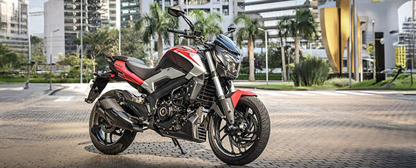 Imagem do dominar-d250 no formulário