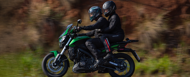 Imagem do dominar-d400 no formulário