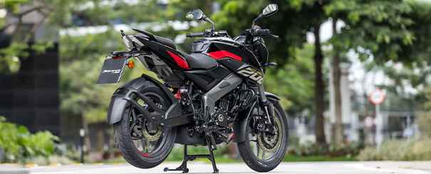 Imagem do dominar-ns200 no formulário