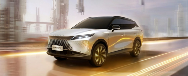 Imagem do omoda-7 no formulário