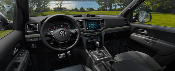 Imagem do amarok no formulário