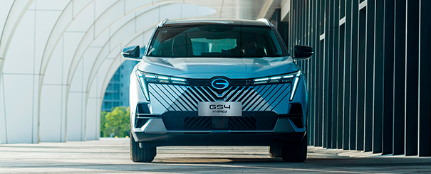 Imagem do gs4 no formulário