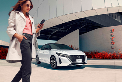 Imagem do sentra no formulário