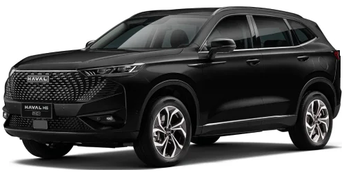 HAVAL H6 PHEV19