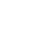 Icone nissan 2